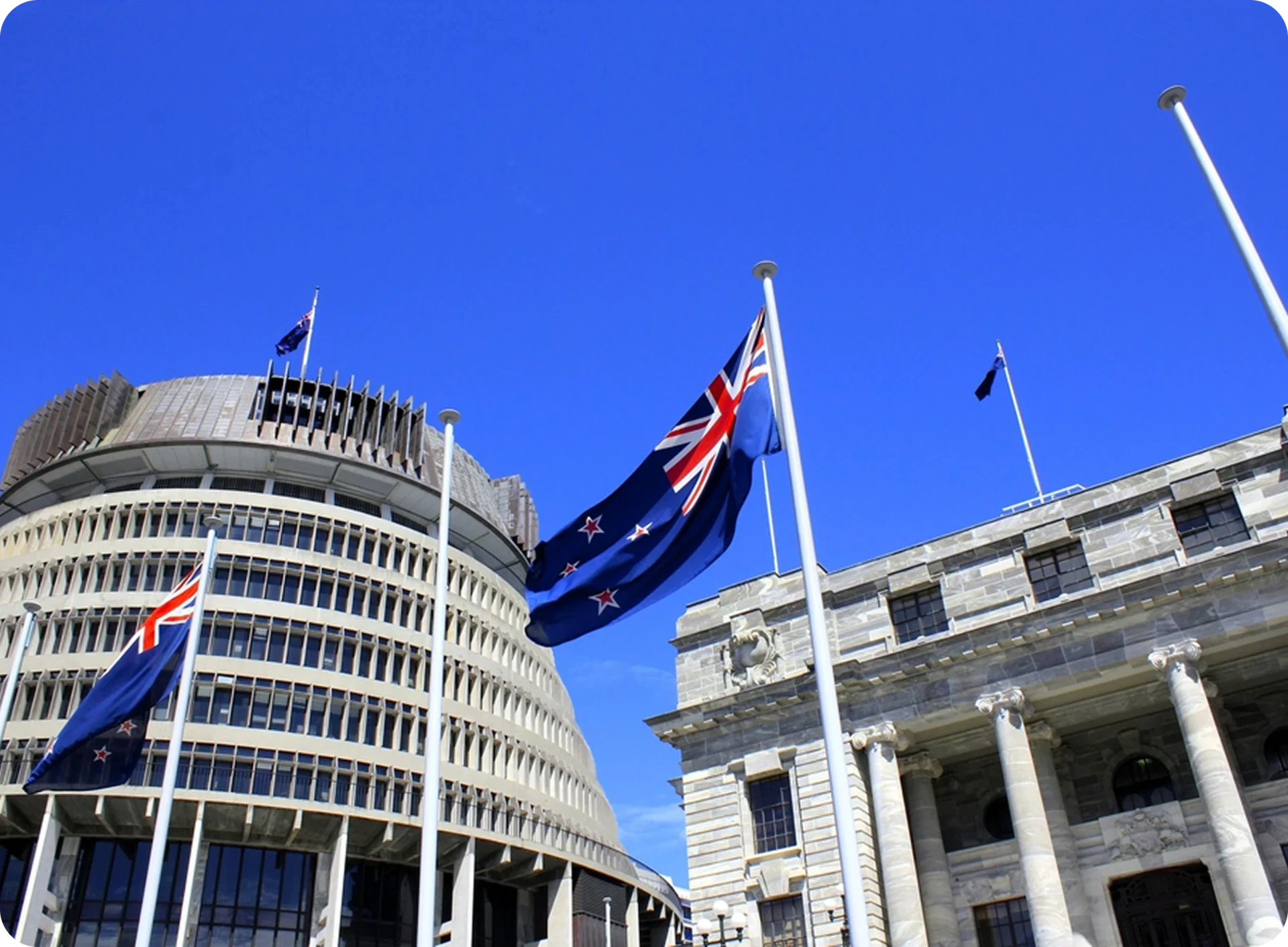 New Zealand higher education