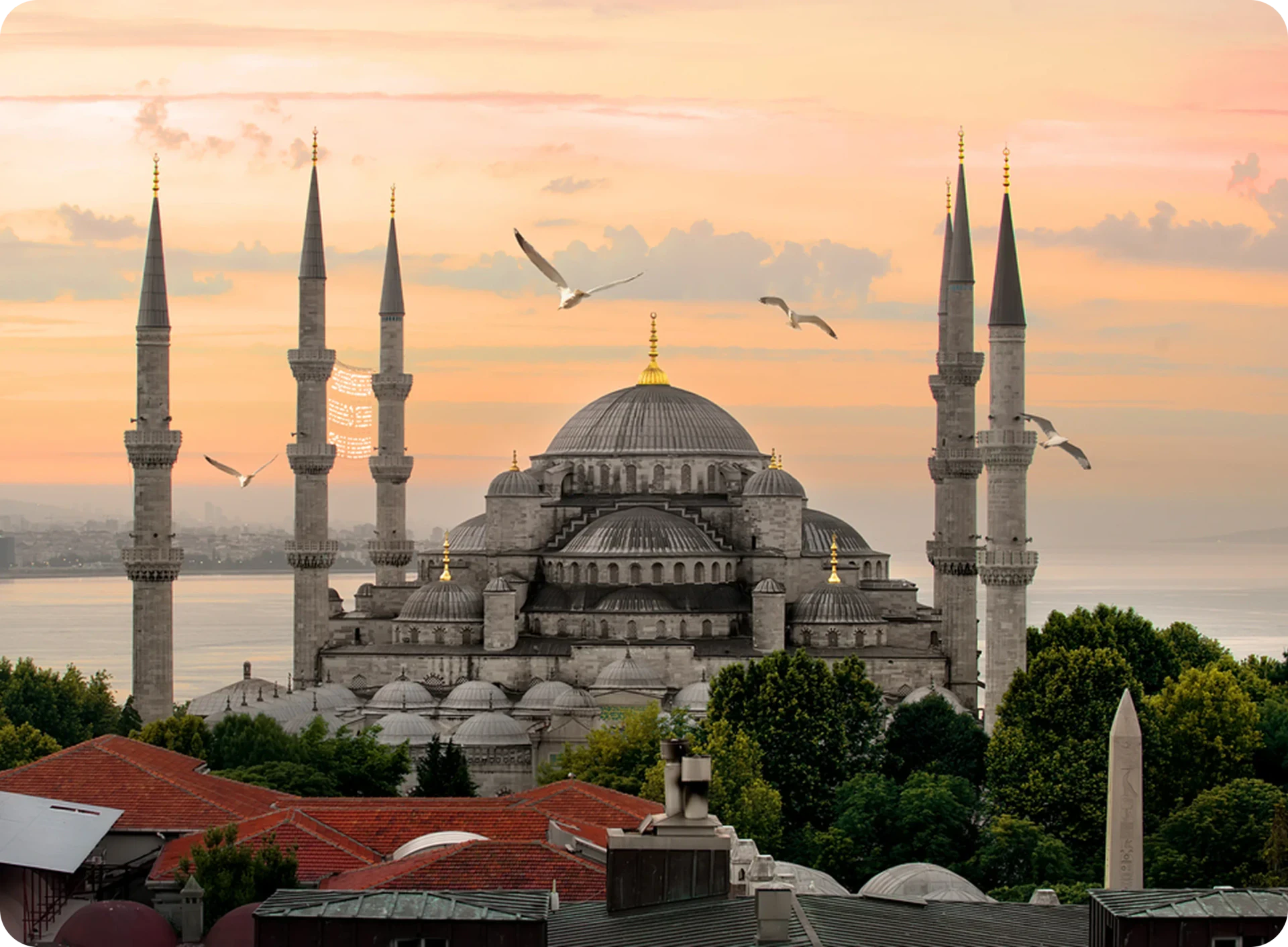 Study in Turkey